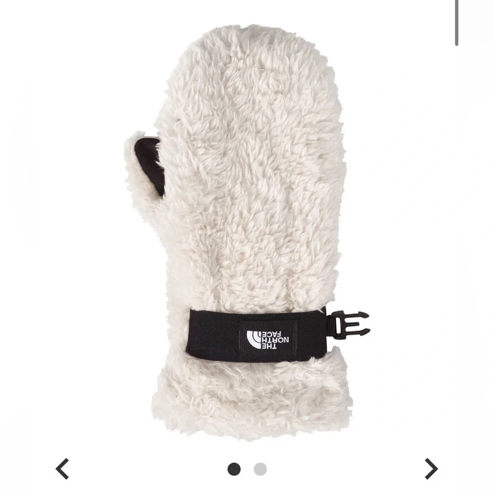 The North Face nwt north